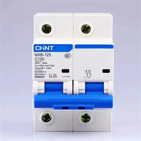 Chint NXB-125 2P C100 Miniature Circuit Breaker – 100A, 10kA Breaking Capacity, Type C Curve, 2 Pole MCB for High-Power Single-Phase and Dual-Phase Applications