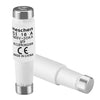Screw Type Fuse D01 16A – D Type