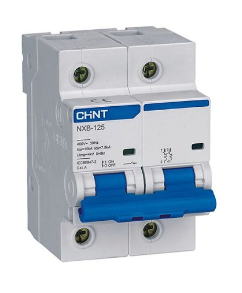 Chint NXB-125 2P C100 Miniature Circuit Breaker – 100A, 10kA Breaking Capacity, Type C Curve, 2 Pole MCB for High-Power Single-Phase and Dual-Phase Applications