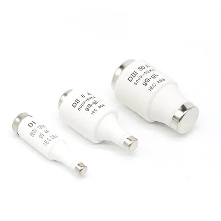 Screw Type Fuse D01 16A – D Type