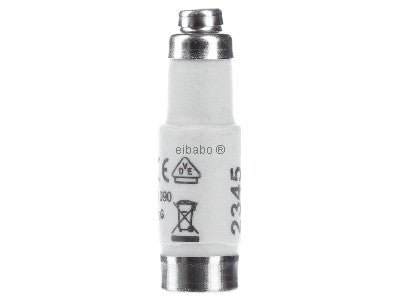 Screw Type Fuse D02 32A – D Type